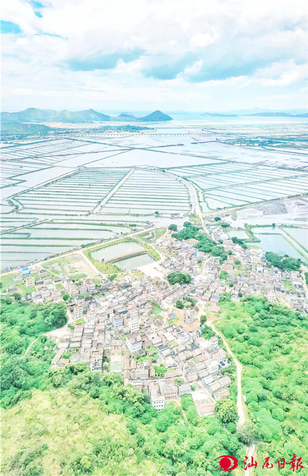 鸟瞰晨洲村_今日关注_汕尾日报社官方网站