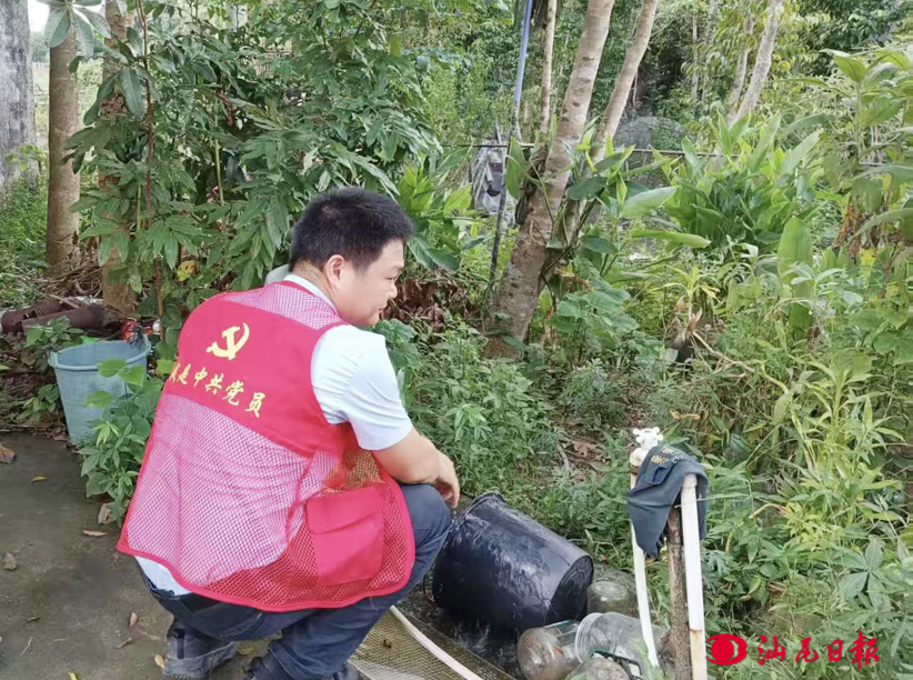 图片 图片